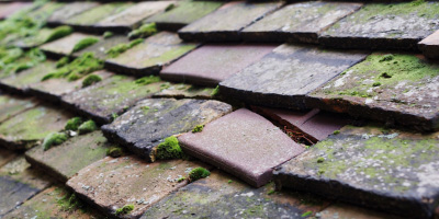 Oldland roof repair costs